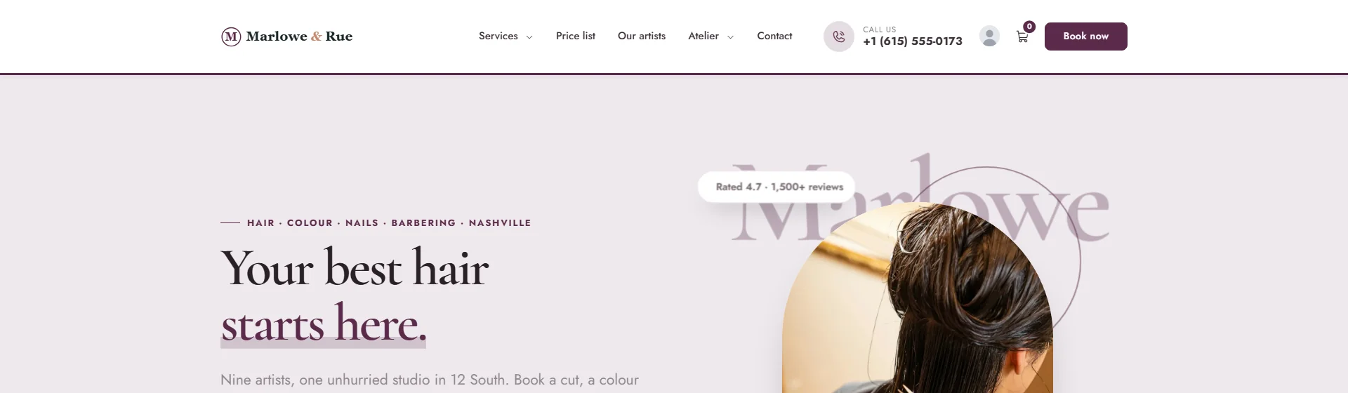 Service: contact details and call to action header preset