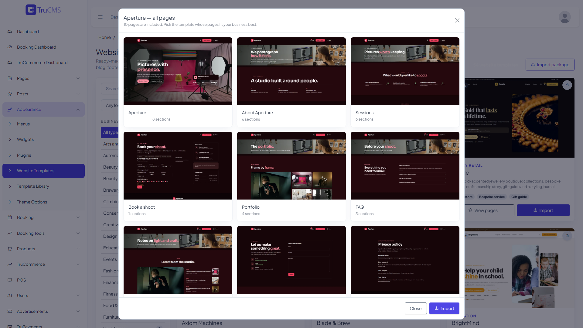 Preview window listing every page of a website template